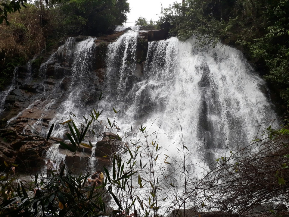 Photo of Sirimane Falls Road, Kigga, Karnataka, India by Butterfly Travel Treats