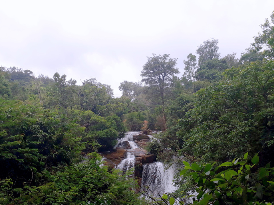 Photo of A Weekend Getaway to Agumbe. #notinnorth by Butterfly Travel Treats