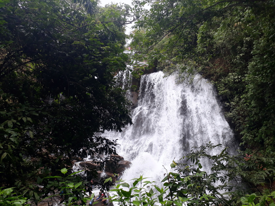 Photo of Sirimane Falls Road, Kigga, Karnataka, India by Butterfly Travel Treats