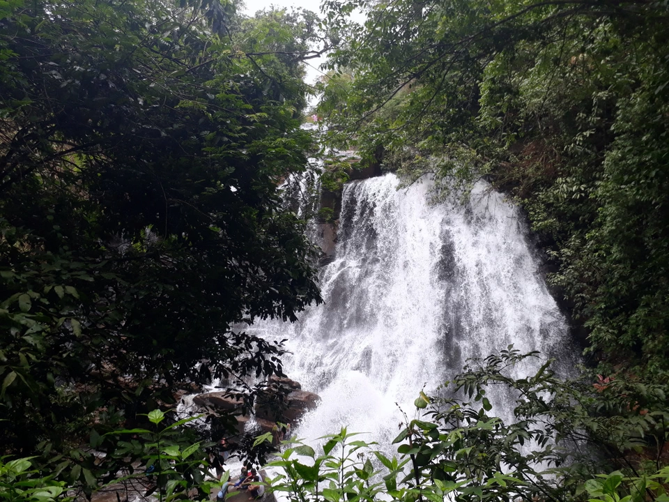 Photo of Sirimane Falls Road, Kigga, Karnataka, India by Butterfly Travel Treats