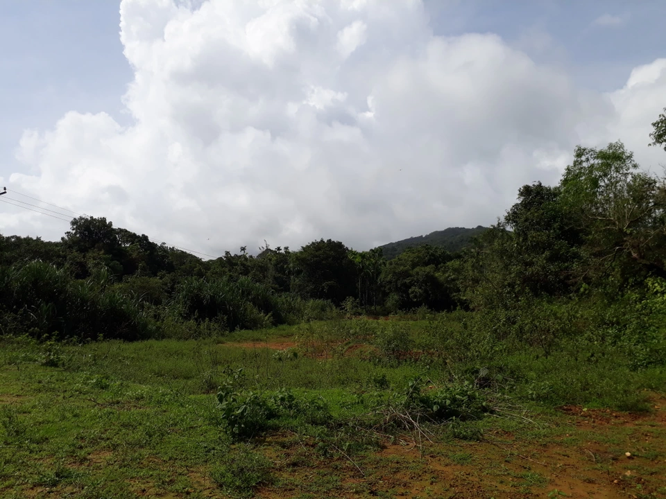 Photo of Agumbe, Karnataka, India by Butterfly Travel Treats