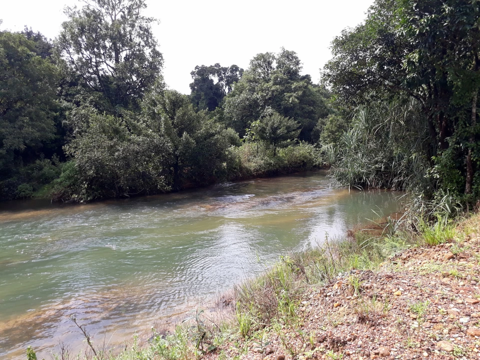 Photo of Male Mane Homestay, Agumbe, Karnataka, India by Butterfly Travel Treats