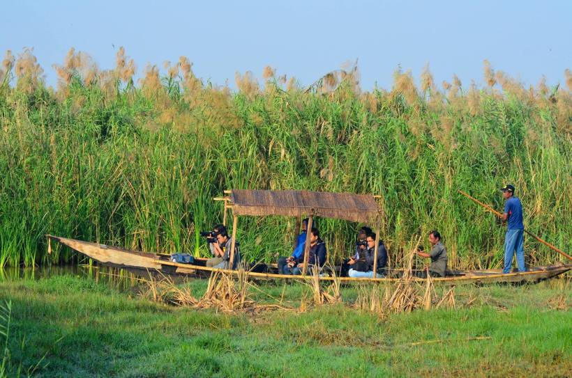Photo of Mangalajodi (Odisha) : Visiting birds' playground and photographers' paradise by Alok Nanda