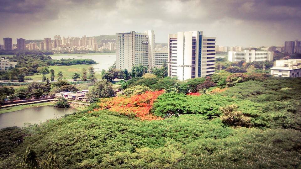Photo of Running and Mumbai 14/15 by Rimi Sen