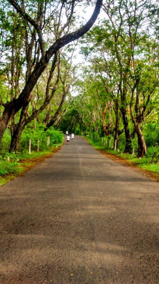 Photo of Running and Mumbai 8/15 by Rimi Sen