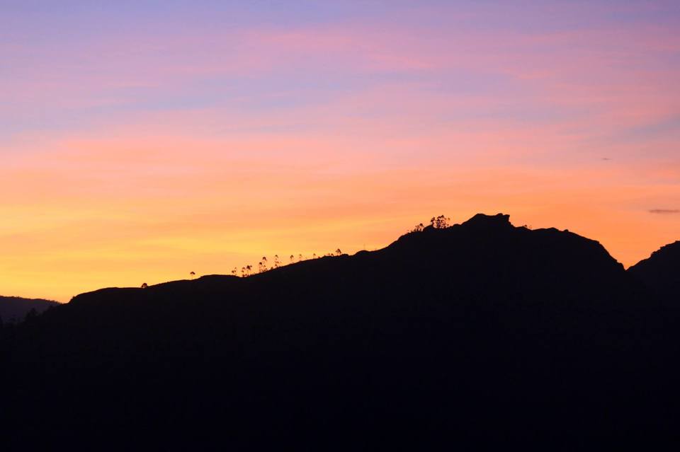 Photo of Visiting God's own country 5/52 by Amit