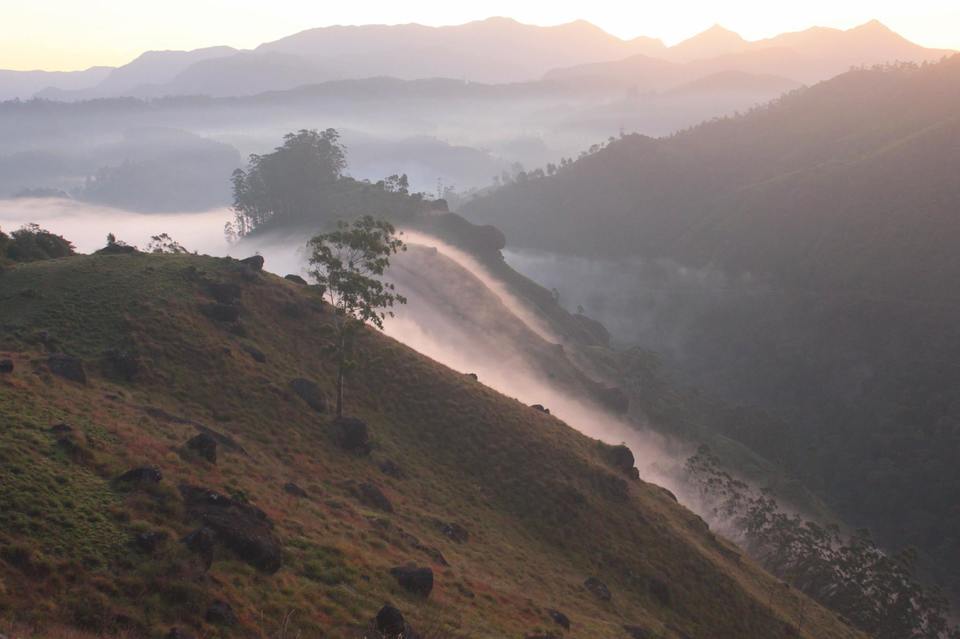 Photo of Visiting God's own country 9/52 by Amit