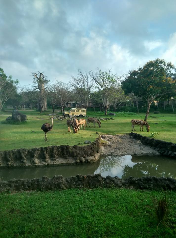Photo of Bali - A perfect Blend of Luxury and Culture by Anubha Gupta Agarwal