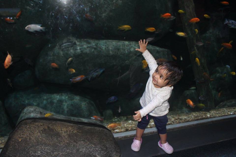 Photo of S.E.A. Aquarium Singapore by Anubha Gupta Agarwal
