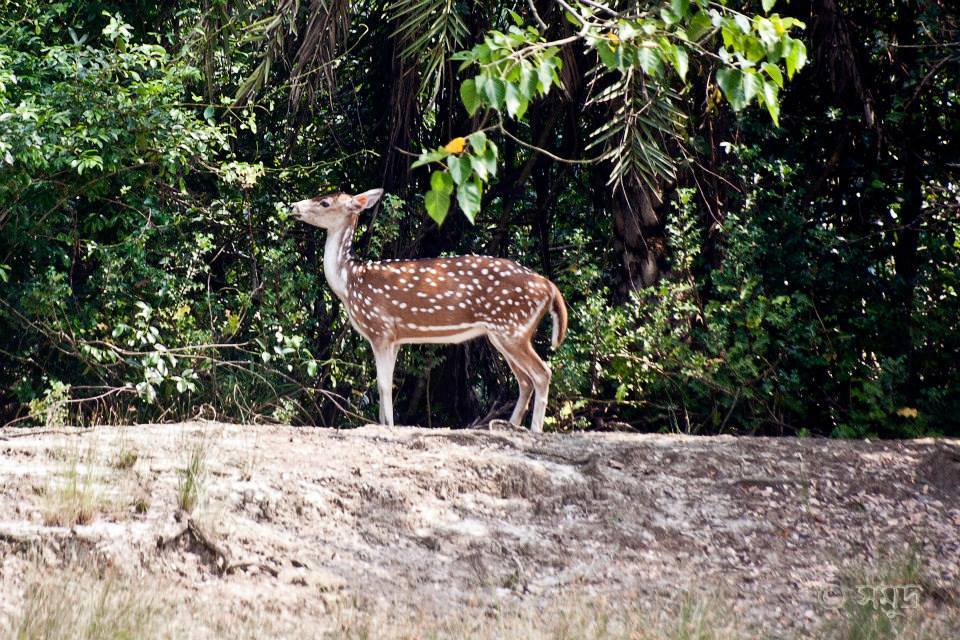 Photo of A Different Bengal by Samudra Sengupta
