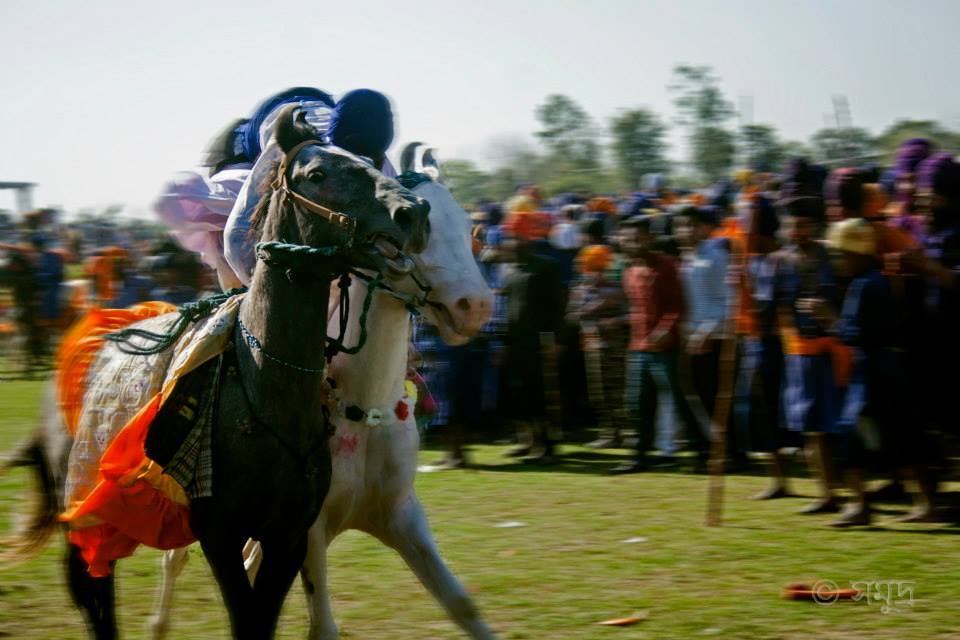 Photo of Hola Mahalla 18/37 by Samudra Sengupta