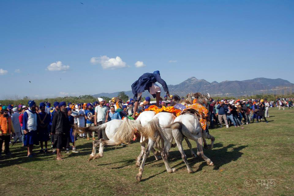 Photo of Hola Mahalla 16/37 by Samudra Sengupta