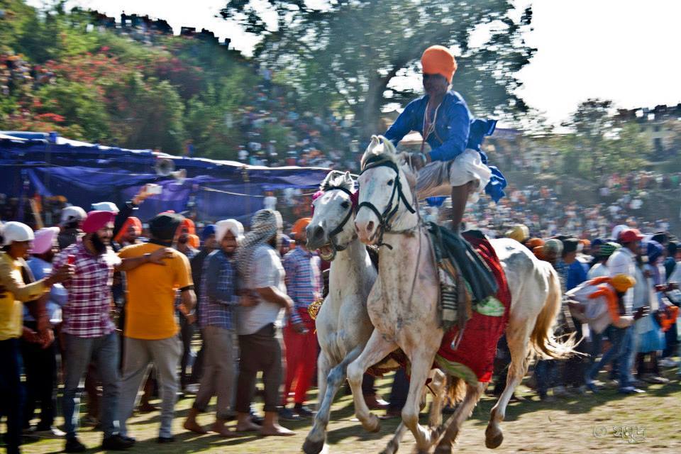 Photo of Hola Mahalla 17/37 by Samudra Sengupta