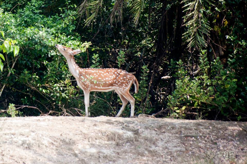 Photo of A Different Bengal by Samudra Sengupta