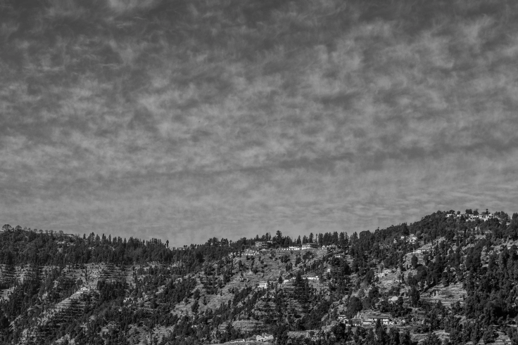 Photo of Kanatal, Kaudia Range, Uttarakhand, India by Wander to Capture