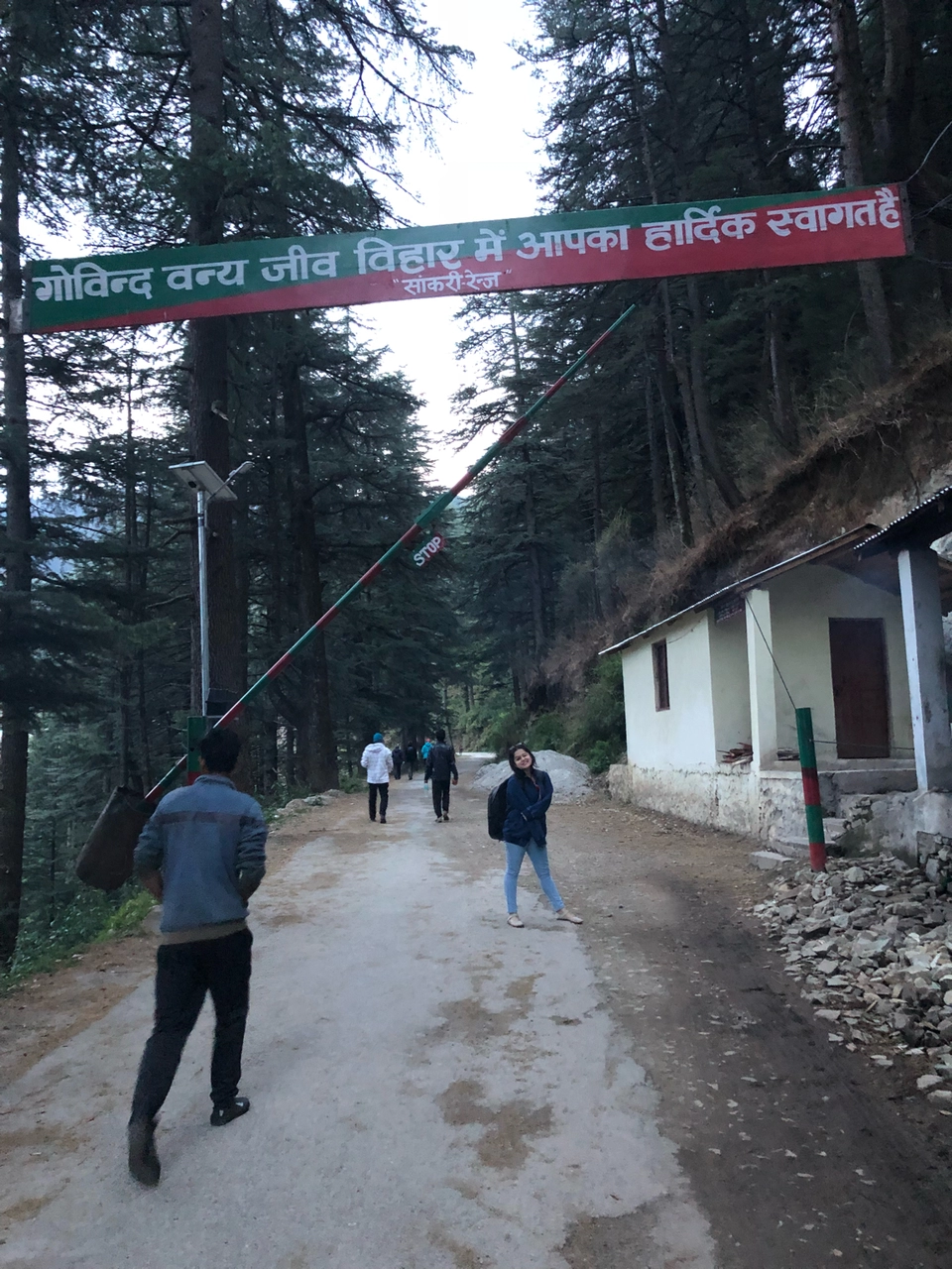 Photo of Sankri, Uttarakhand, India by Steffy Munjal