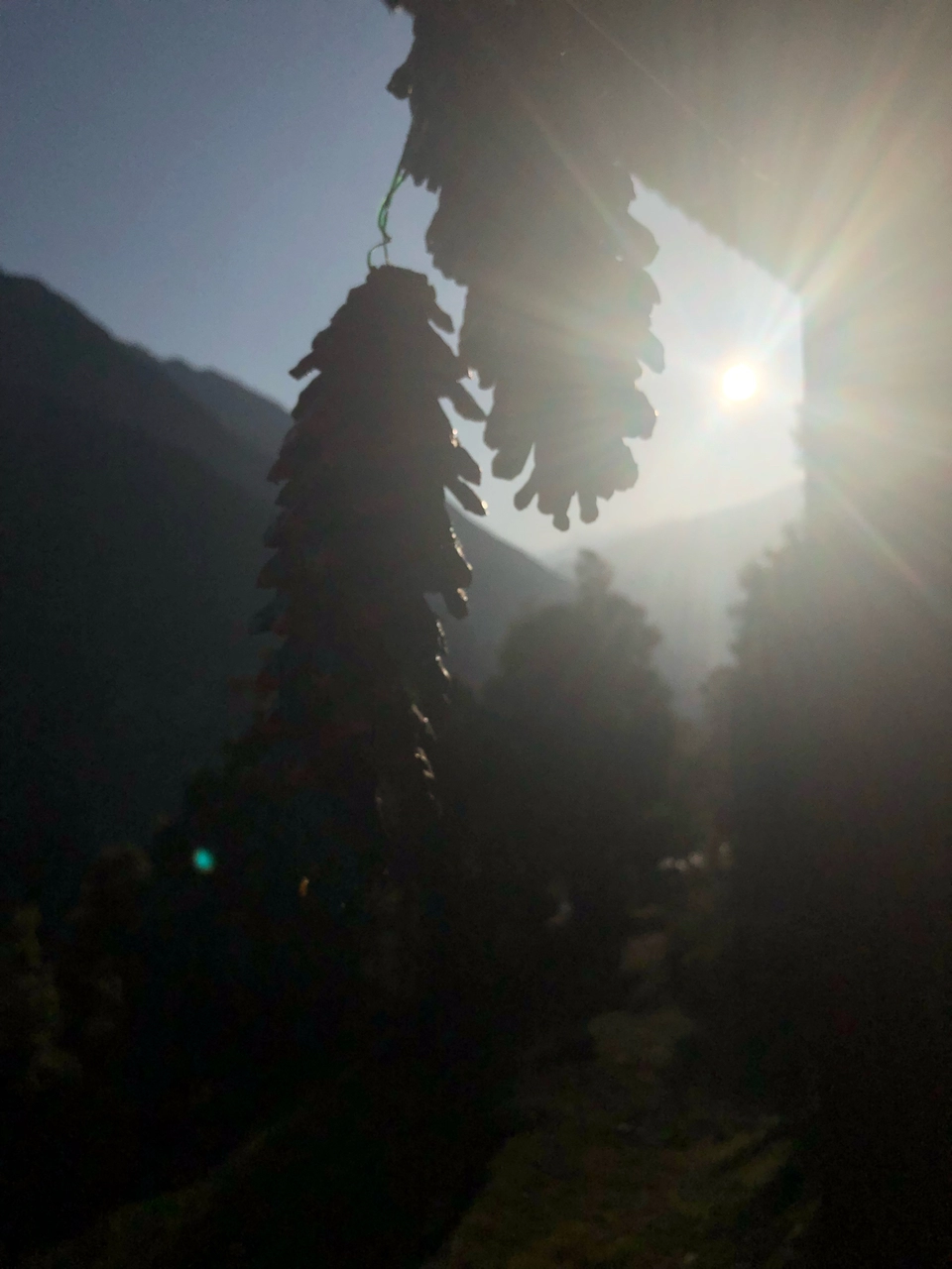 Photo of Kedarkantha Trek, Kedarkantha Trek Road, Bhel Chowk, Karanpur, Dehradun, Uttarakhand, India by Steffy Munjal