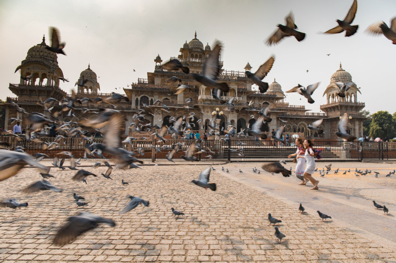 Photo of 'The Pink City': Don't leave Jaipur before you. 6/15 by Daisy