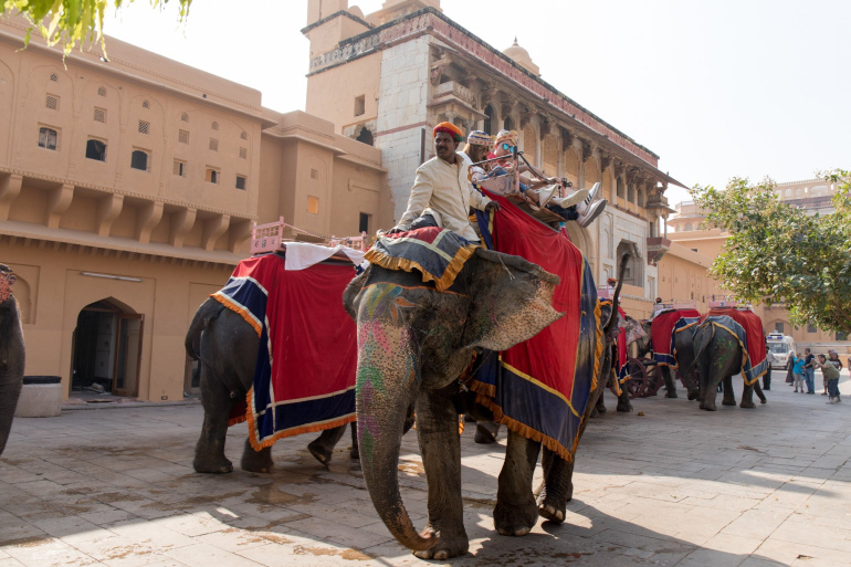 Photo of 'The Pink City': Don't leave Jaipur before you. 7/15 by Daisy