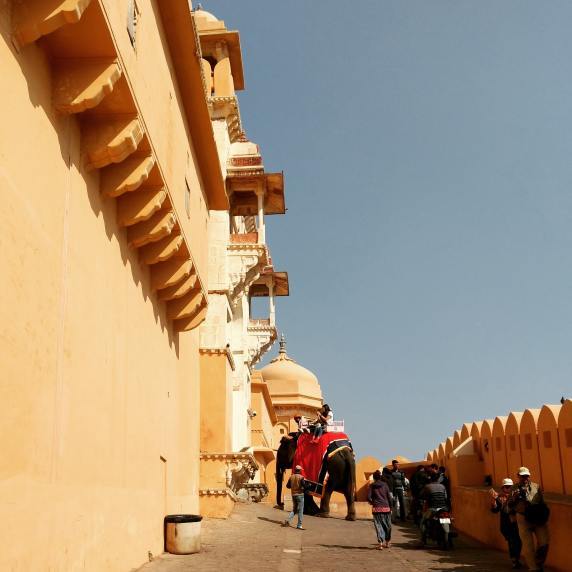 Photo of Amer Fort, Devisinghpura, Amer, Jaipur, Rajasthan, India by Muktobrinda Dash