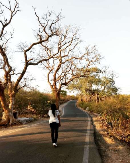 Photo of Riding Solo in Jaipur: My Day at Amer Fort and Nahargarh Fort by Muktobrinda Dash