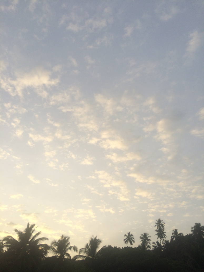 Photo of Goa: Sun, Surf and Sonic States by open durbar