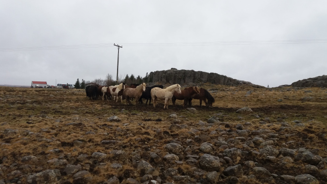 Photo of Snaefellsnes, Islande by Karishma Shaikh