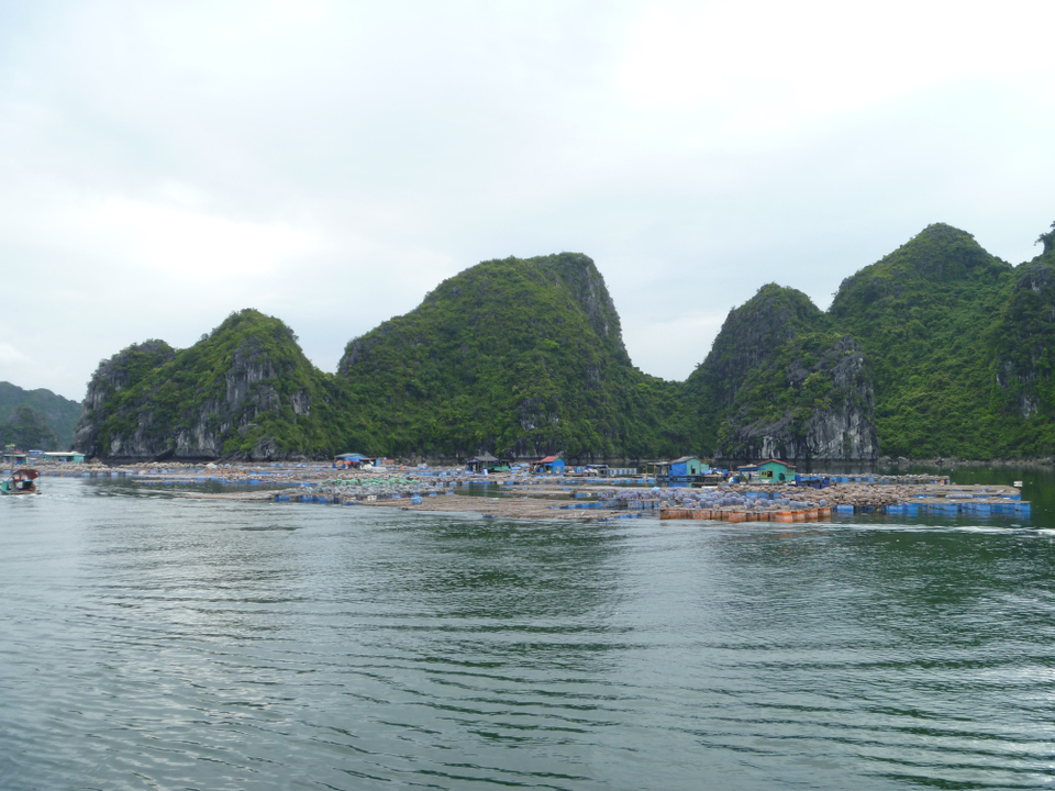 Photo of Cat Ba, Cát Hải, Hai Phong, Vietnam by Jemima Durnford