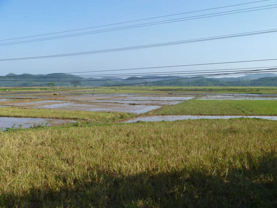 Photo of Vietnam – motorbiking: if I can do it, you can! by Jemima Durnford