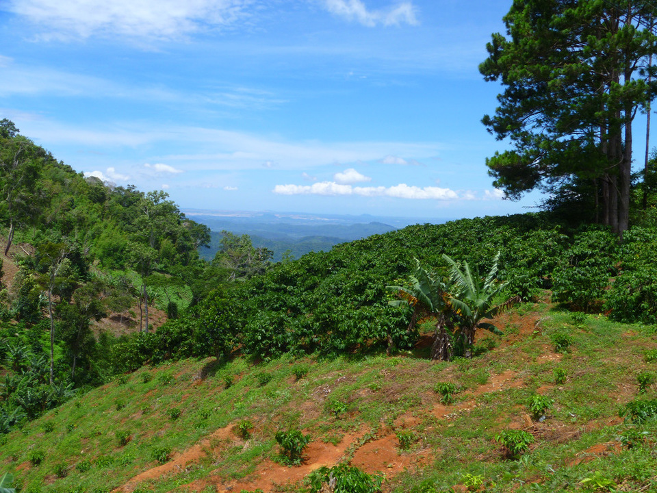 Photo of Vietnam – motorbiking: if I can do it, you can! by Jemima Durnford