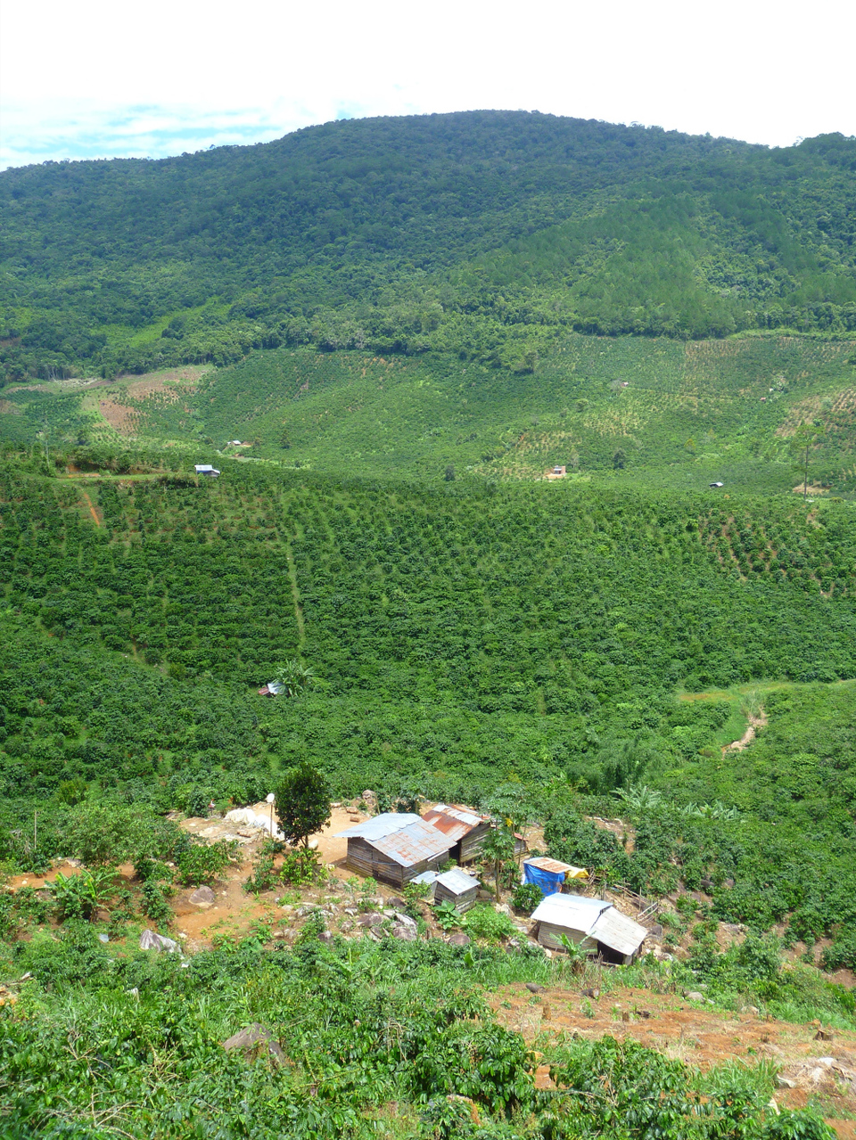 Photo of Vietnam – motorbiking: if I can do it, you can! by Jemima Durnford