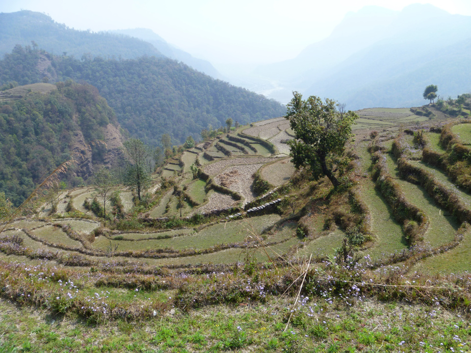 Photo of Phedi, Nepal by Jemima Durnford