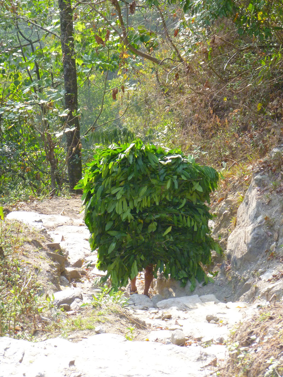 Photo of Nepal by Jemima Durnford