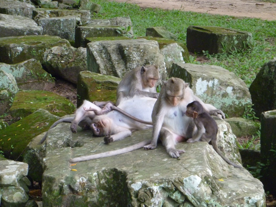 Photo of Cambodia – harrowing, fascinating and architecturally outstanding by Jemima Durnford