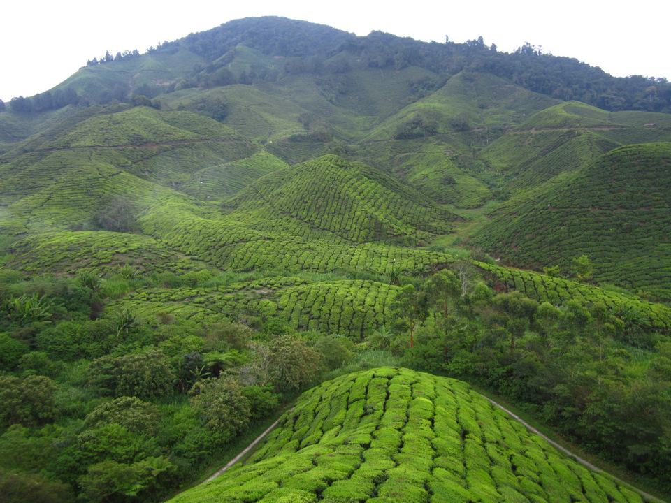 Photo of Malaysia 7/18 by Jemima Durnford