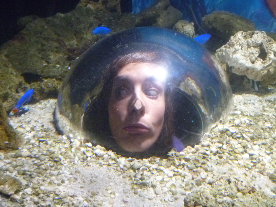Photo of Mooloolaba Wharf, Underwater World, Mooloolaba QLD, Australia by Jemima Durnford