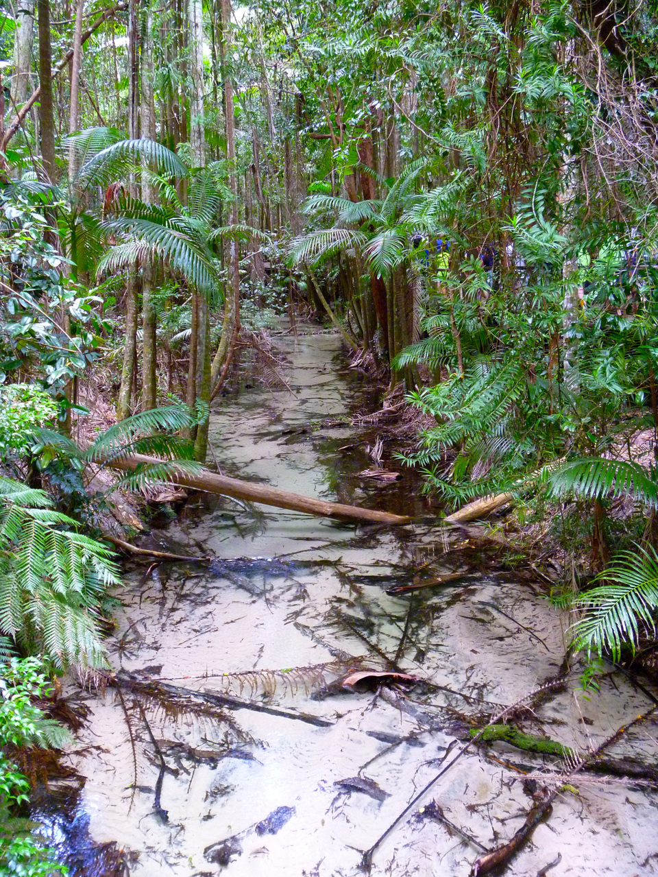 Photo of Fraser Island QLD, Australia by Jemima Durnford