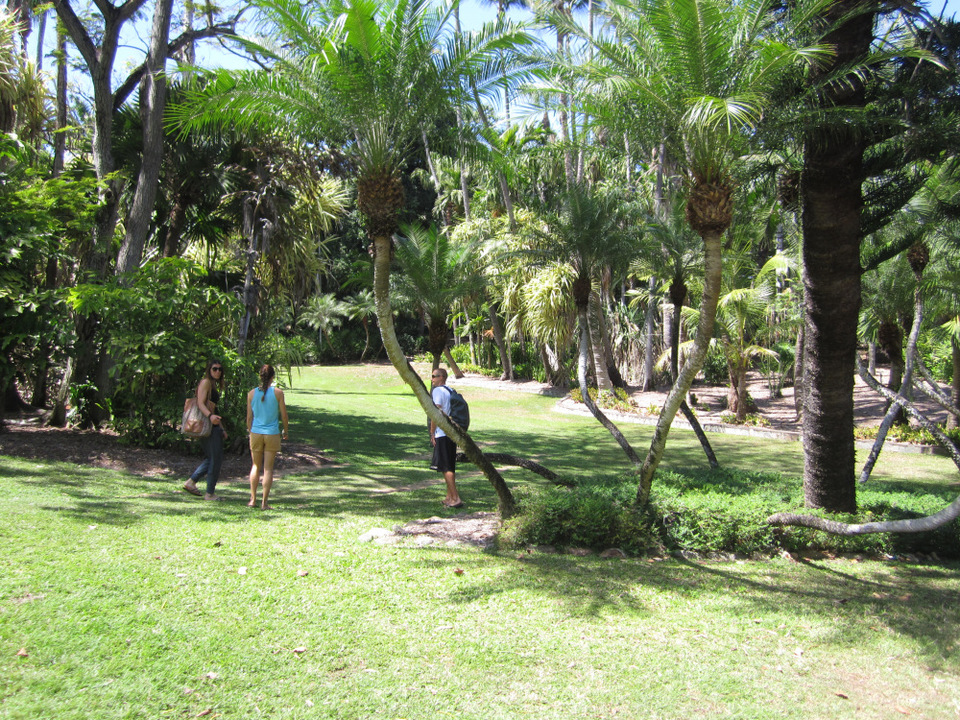 Photo of Rockhampton Botanic Gardens, Spencer St, West Rockhampton QLD, Australia by Jemima Durnford