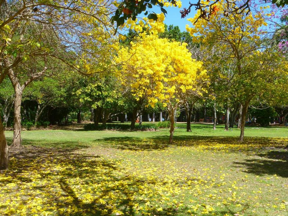 Photo of Rockhampton Botanic Gardens, Spencer St, West Rockhampton QLD, Australia by Jemima Durnford