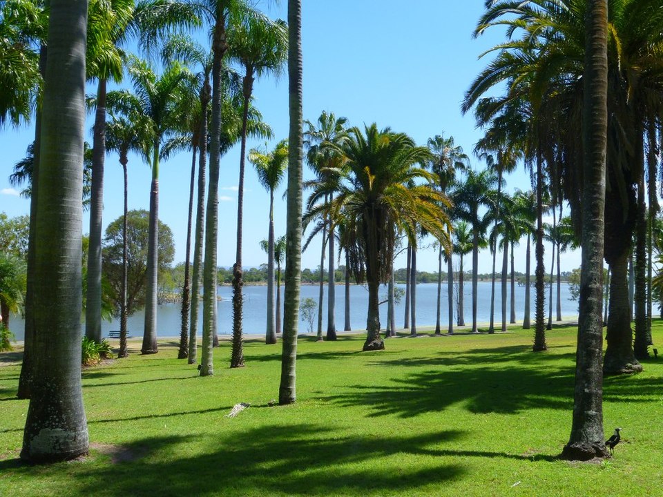 Photo of Rockhampton Botanic Gardens, Spencer St, West Rockhampton QLD, Australia by Jemima Durnford