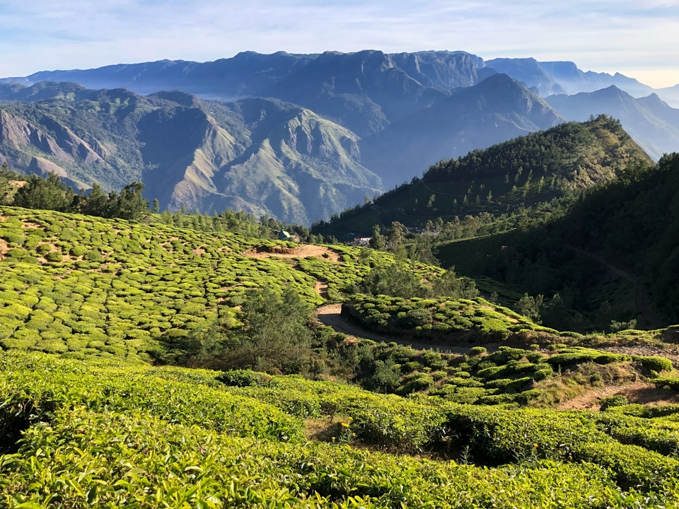 Photo of Kolukkumalai, Kottagudi, Tamil Nadu, India by Milcah Karnal