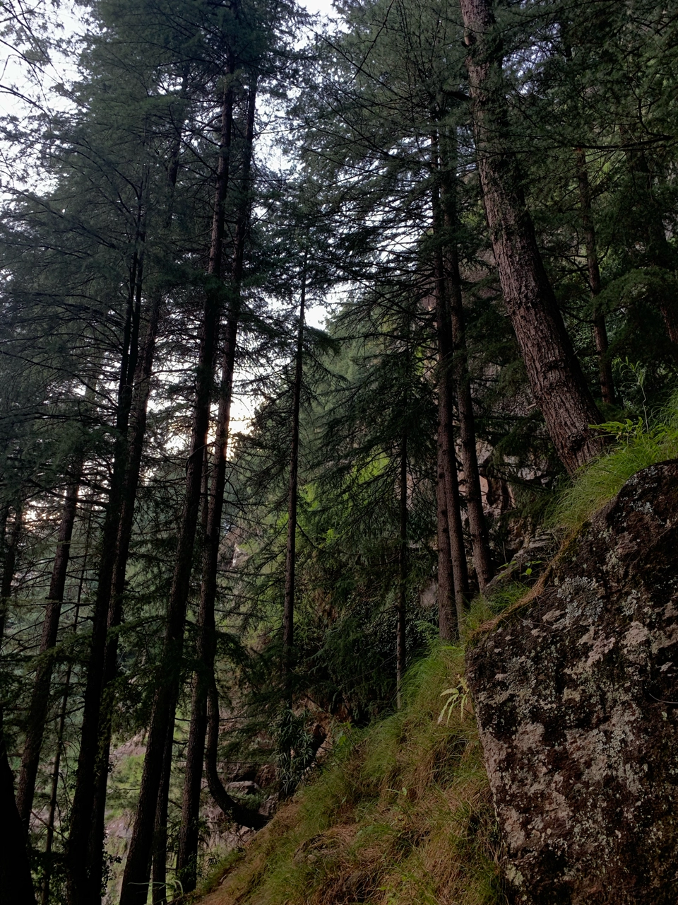 Photo of Manali, Himachal Pradesh, India by Radhika