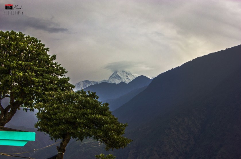 Photo of Roopkund - The Mysterious Lake Part - I 1/1 by Aakash Gupta