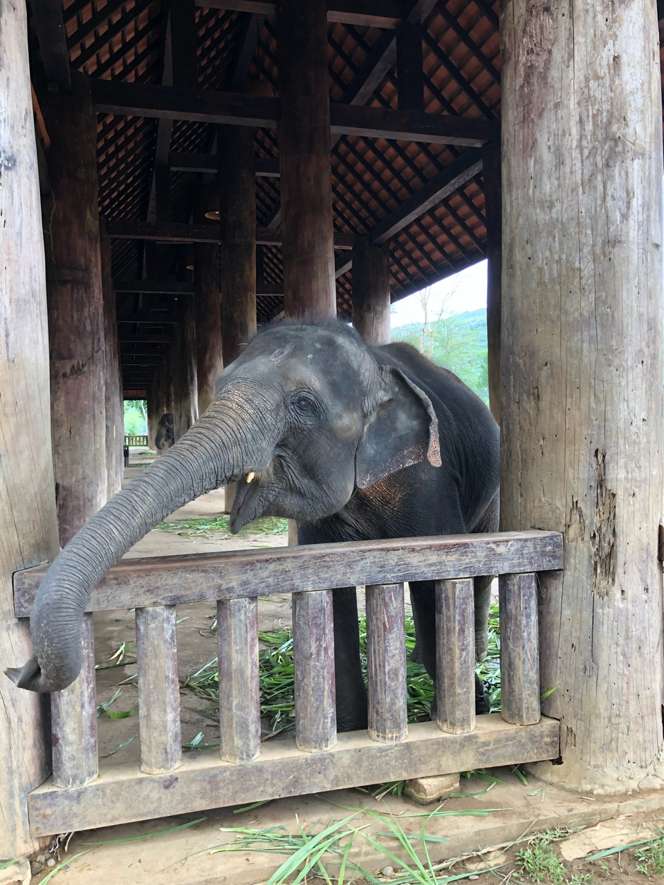Photo of Luang Prabang by Shahzad Brat
