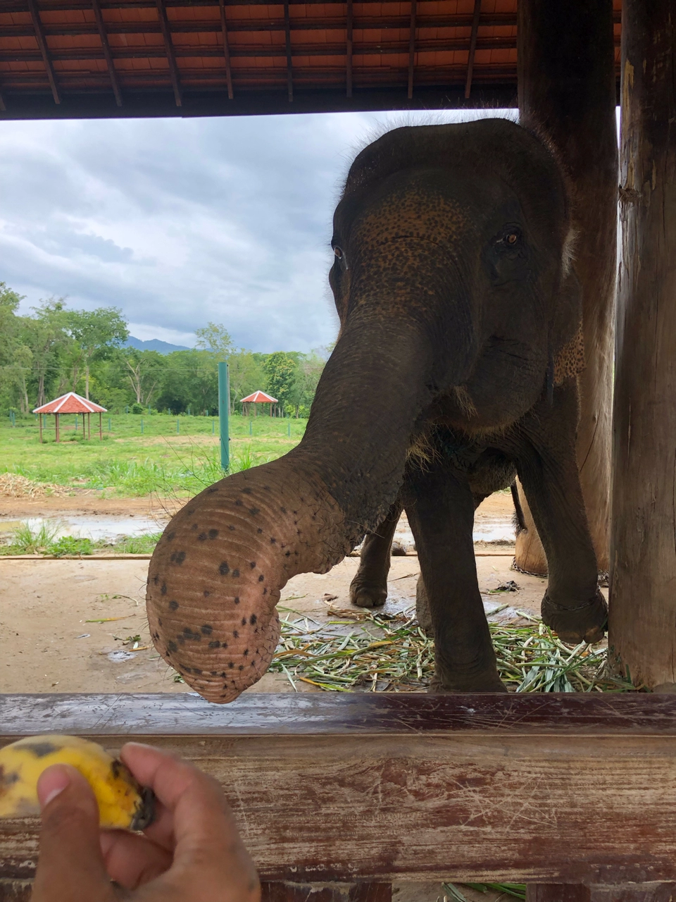 Photo of Luang Prabang by Shahzad Brat