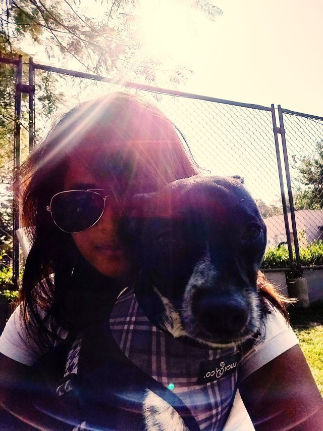 Photo of Day Tripping in Delhi - Pet Resort by Sukruti Gandham