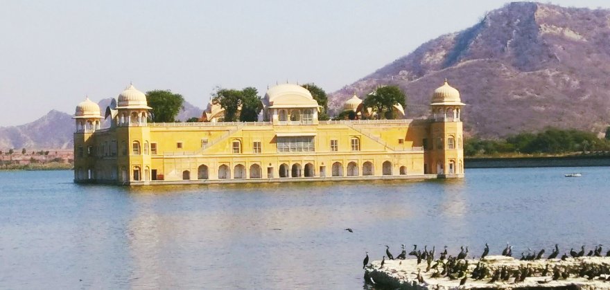 Photo of Solo Trip to Jaipur ¡Sorted! Taking minimal Time 3/3 by Sweta Arya