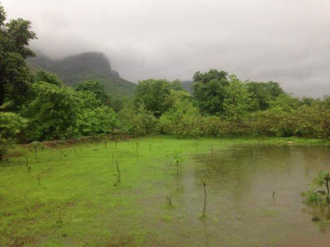 Photo of We are Escapades...Devkund by Snehal Gherade