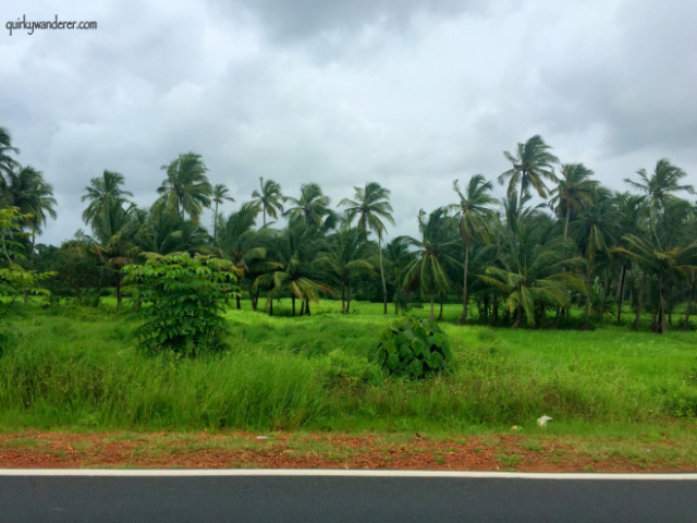 Photo of The Colours of The Bonderam Festival, Goa by Divyakshi Gupta