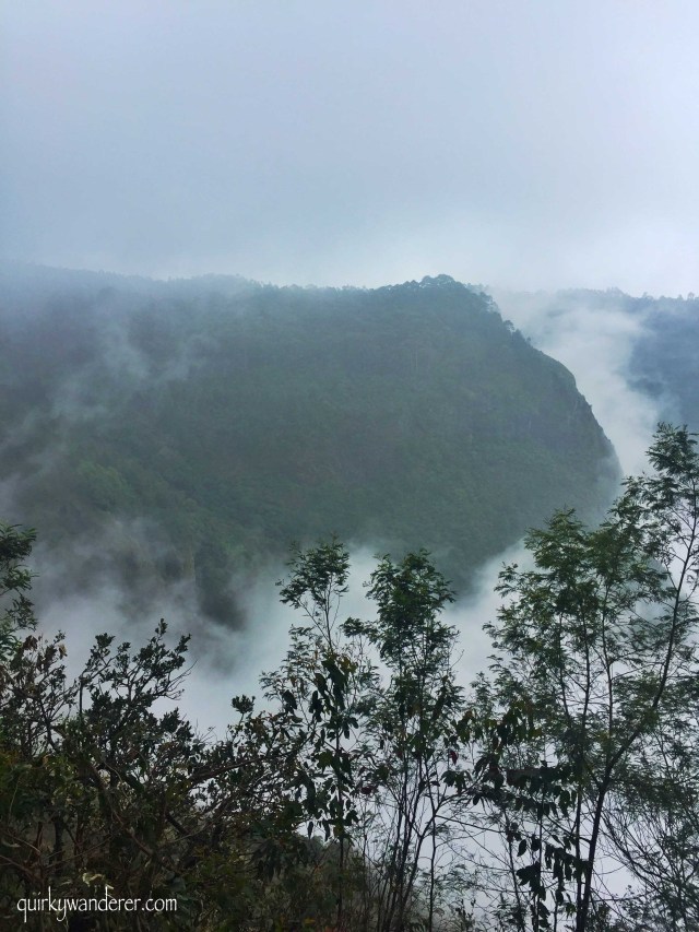 Photo of Berijam Lake, Tamil Nadu by Divyakshi Gupta